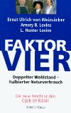  - Faktor Fünf: Die Formel für nachhaltiges Wachstum