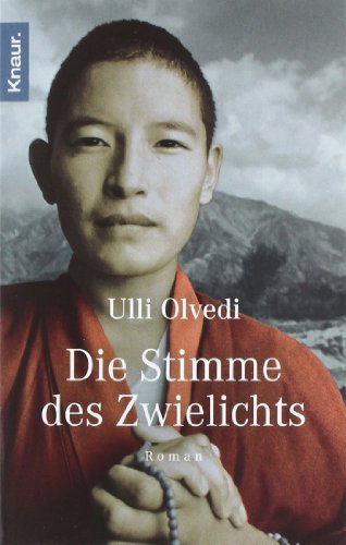  - Die Stimme des Zwielichts: Roman