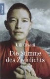  - Tibet hinter dem Spiegel: Roman