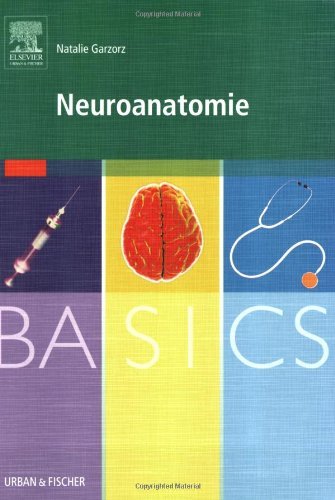  - BASICS Neuroanatomie