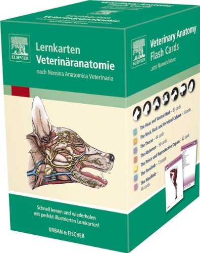  - Lernkarten Veterinäranatomie/V