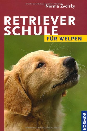  - Retrieverschule für Welpen