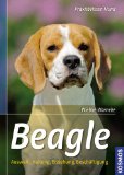  - Mein gesunder Beagle