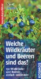  - Welche Blume ist das?: 170 Wildblumeneinfach bestimmen. Typische Merkmale auf einen Blick