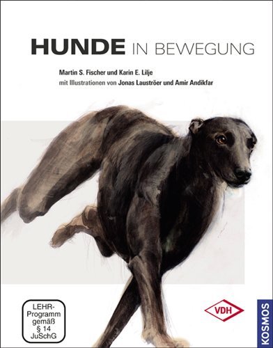  - Hunde in Bewegung