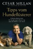  - Welcher Hund passt zu uns?: Ein Beziehungsratgeber für Familie und Hund