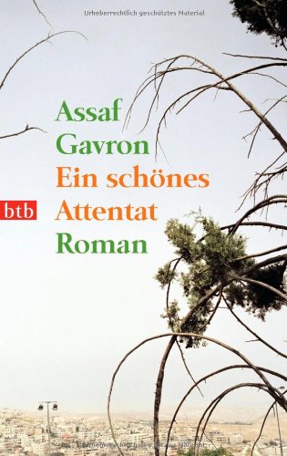  - Ein schönes Attentat: Roman