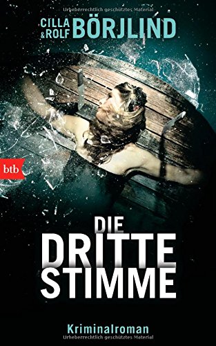  - Die dritte Stimme: Kriminalroman