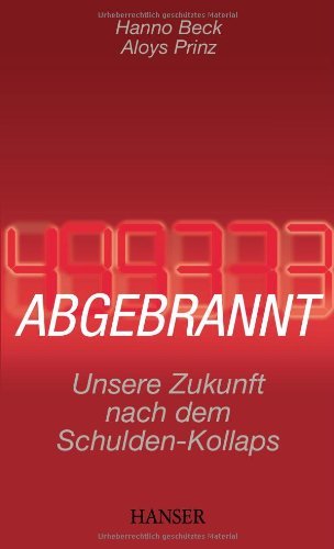  - Abgebrannt: Unsere Zukunft nach dem Schulden-Kollaps