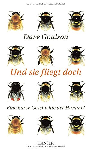  - Und sie fliegt doch: Eine kurze Geschichte der Hummel