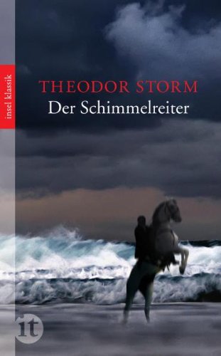  - Der Schimmelreiter: Novelle (insel taschenbuch)