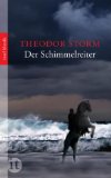  - Theodor Storm: Der Schimmelreiter. Lektüreschlüssel