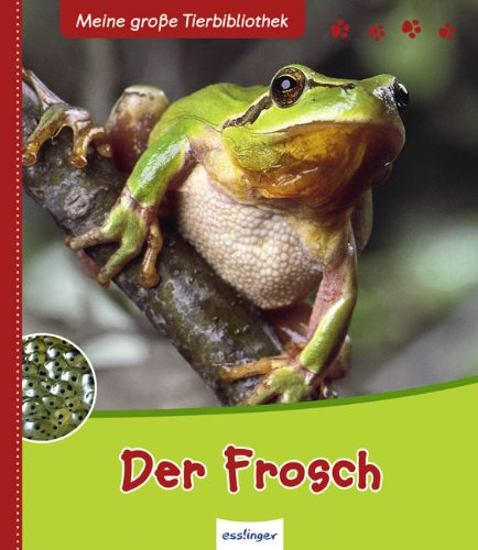  - Der Frosch