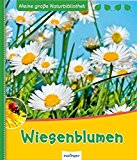  - Da ist eine wunderschöne Wiese