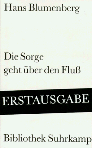  - Die Sorge geht über den Fluß (Bibliothek Suhrkamp)