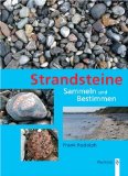  - Strandsteine für Kids: Sammeln und Bestimmen