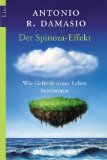  - Selbst ist der Mensch: Körper, Geist und die Entstehung des menschlichen Bewusstseins