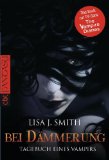 Smith, Lisa J. - Tagebuch eines Vampirs 4:  In der Schattenwelt