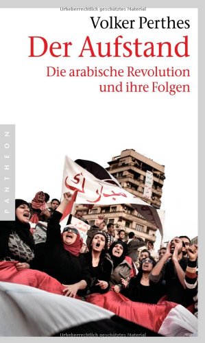  - Der Aufstand: Die arabische Revolution und ihre Folgen