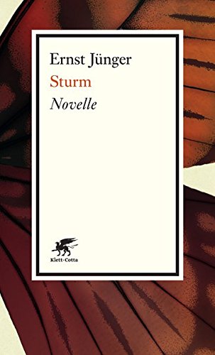  - Sturm: Novelle