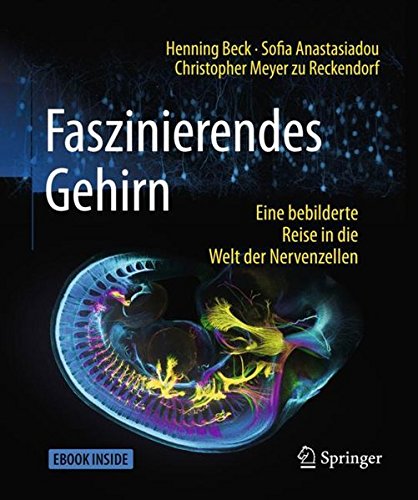  - Faszinierendes Gehirn: Eine bebilderte Reise in die Welt der Nervenzellen