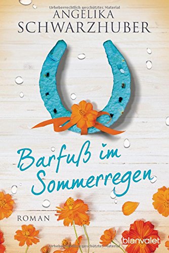  - Barfuß im Sommerregen: Roman