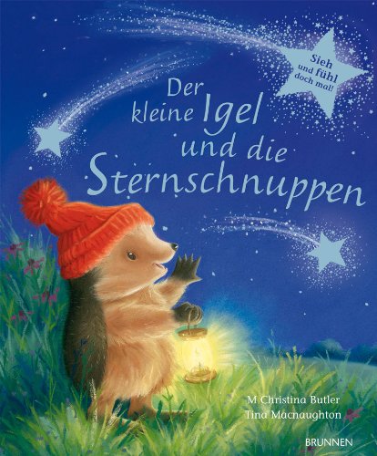  - Der kleine Igel und die Sternschnuppen