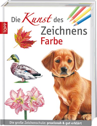 Foster, Walter - Die Kunst des Zeichnens Farbe: Die große Zeichenschule: praxisnah & gut erklärt