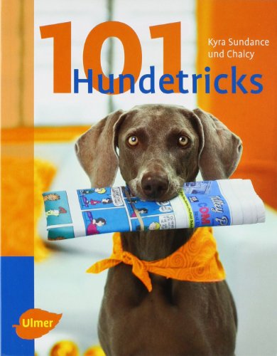  - 101 Hundetricks