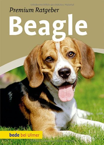  - Beagle