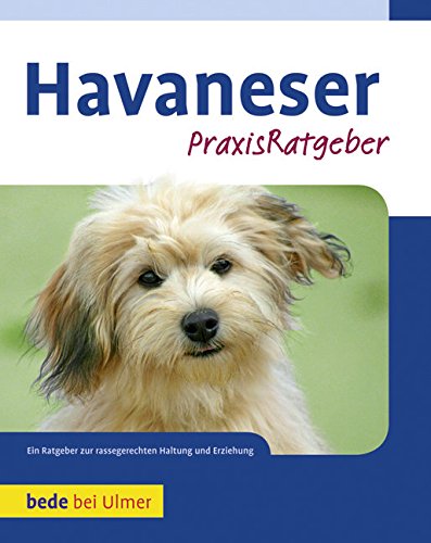  - Havaneser