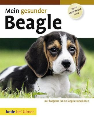  - Mein gesunder Beagle