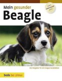  - Beagle