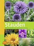  - Gartenblumen in Harmonie: Stauden gekonnt kombinieren