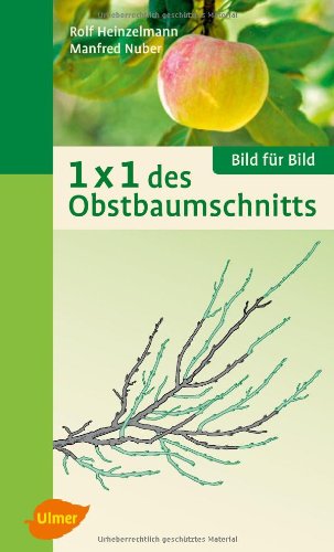  - 1 x 1 des Obstbaumschnitts: Bild für Bild