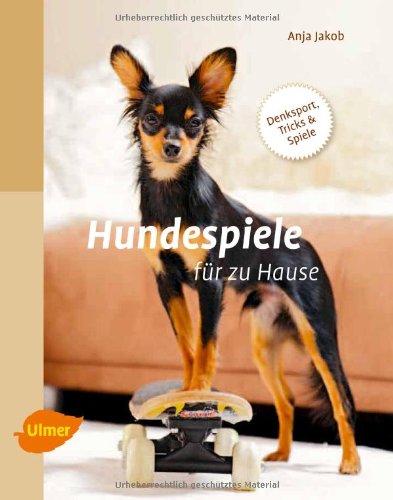  - Hundespiele für zu Hause: Denksport, Tricks und Spiele