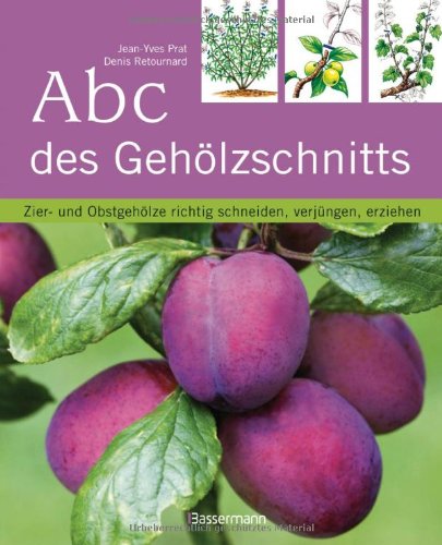  - Abc des Gehölzschnitts: Zier- und Obstgehölze richtig schneiden, verjüngen, erziehen