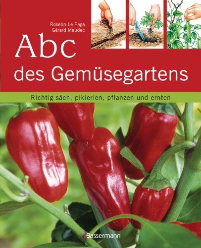  - Abc des Gemüsegartens: Richtig säen, pikieren, pflanzen und ernten