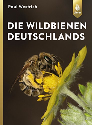  - Die Wildbienen Deutschlands