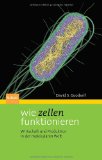  - Welt der Bakterien: Die unsichtbaren Beherrscher unseres Planeten