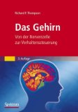  - Dein Gehirn weiß mehr, als du denkst: Neueste Erkenntnisse aus der Hirnforschung