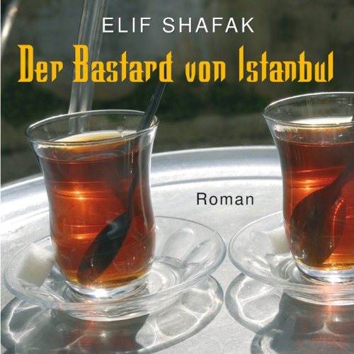  - Der Bastard von Istanbul - ungekürzte Lesung auf 11 CDs