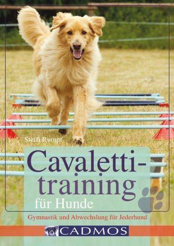  - Cavalettitraining für Hunde: Gymnastik und Abwechslung für Jederhund