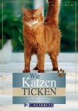  - Langenscheidt Katze-Deutsch/Deutsch-Katze: Wie sag ich's meiner Katze?