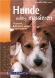  - Massage und Physiotherapie bei Hunden: Beweglichkeit verbessern und Schmerzen lindern