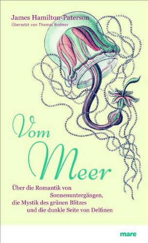  - Vom Meer: Über die Romantik von Sonnenuntergängen, die Mystik des grünen Blitzes und die dunkle Seite von Delfinen