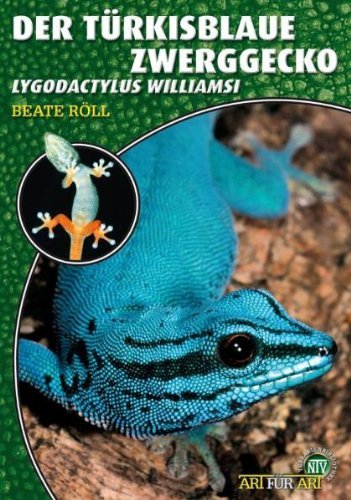  - Art für Art: Der Türkisblaue Zwerggecko: Lygodactylus williamsi