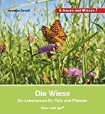  - Da ist eine wunderschöne Wiese