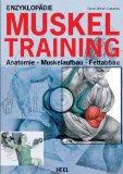  - Kompaktkurs Rücken: Anatomie - Stretching - Muskeltraining