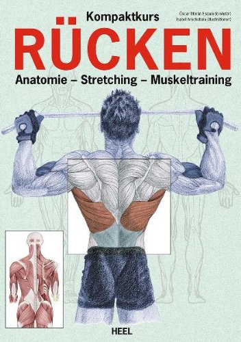  - Kompaktkurs Rücken: Anatomie - Stretching - Muskeltraining